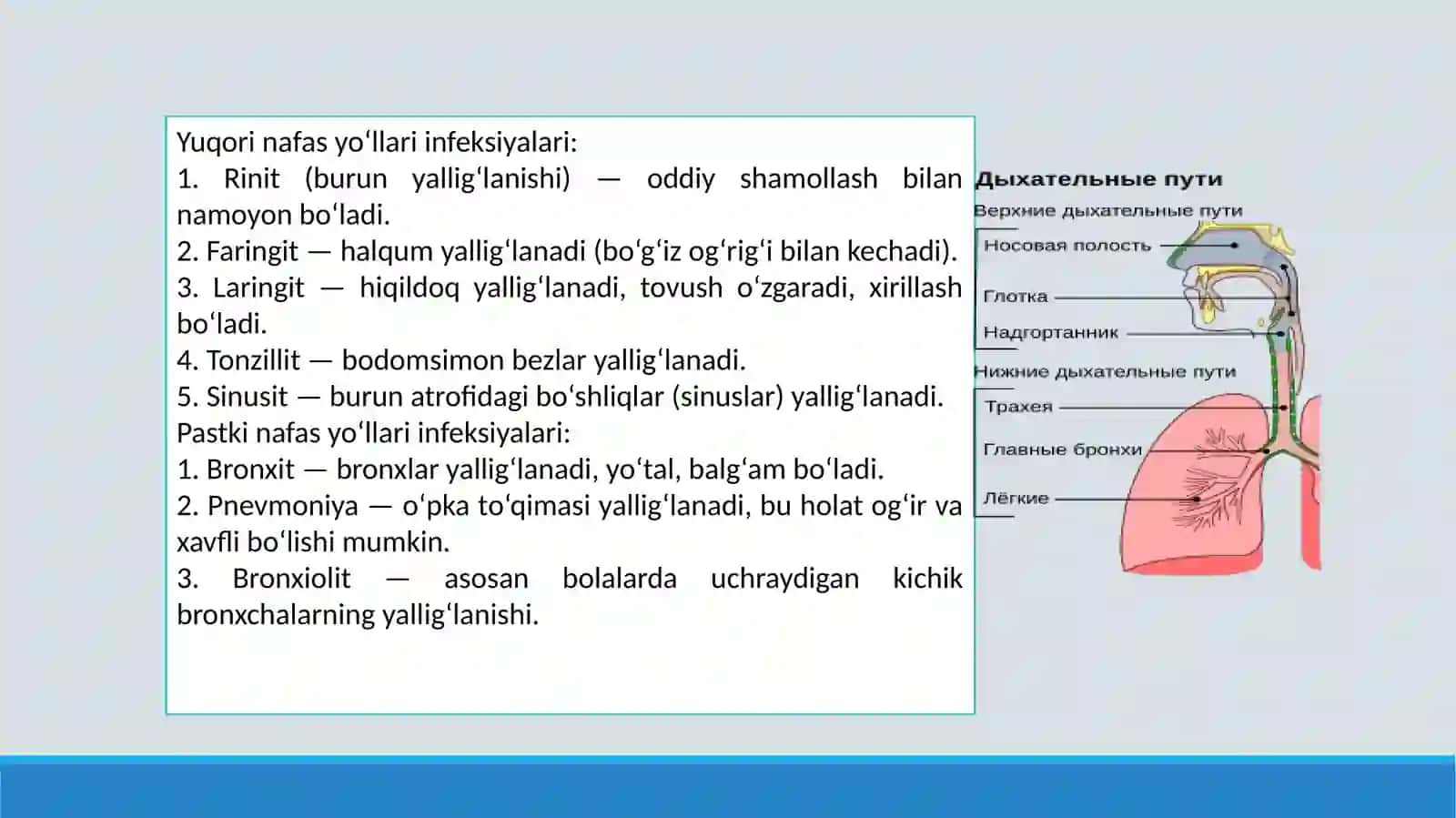 Resperator virusli yuqumlikasallik qo'zg'atuvchilari 4
