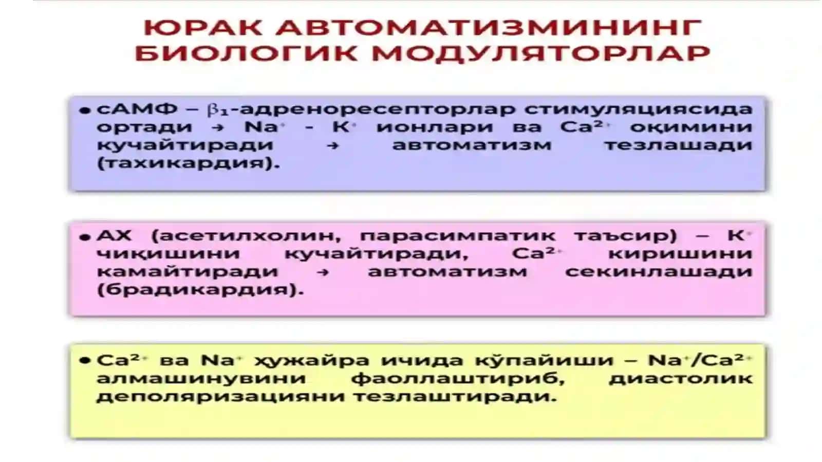 YURAK-MUSHAK BIOKIMYOSI 4