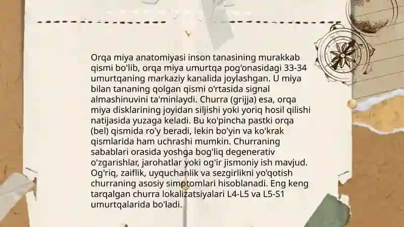 Disk churrasining kelib chiqish sabablari va konservativ davolash 4