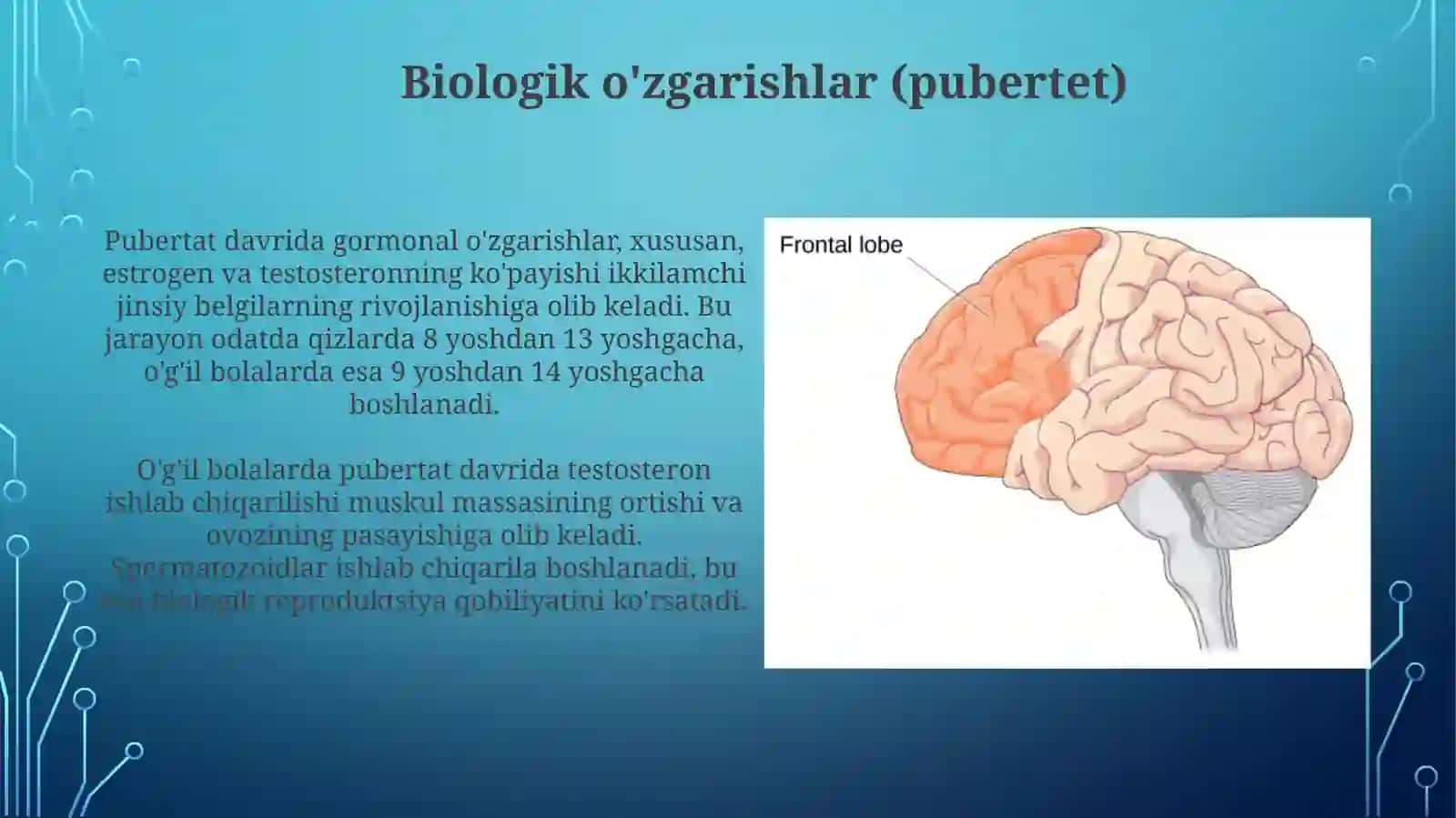 Yosh davrlari psixalogiyasi 4