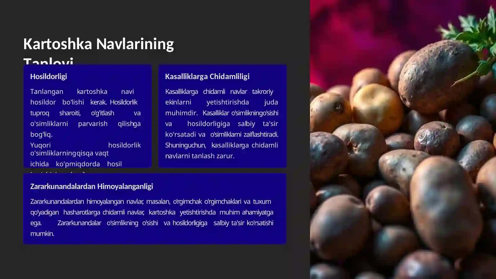 Takroriy ekin sifatida  kartoshka yetishtirishning  biologik asoslari 4