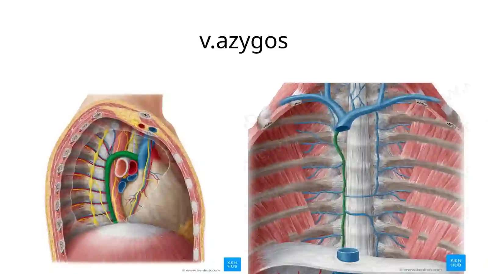 Yuqorikavakvena 4