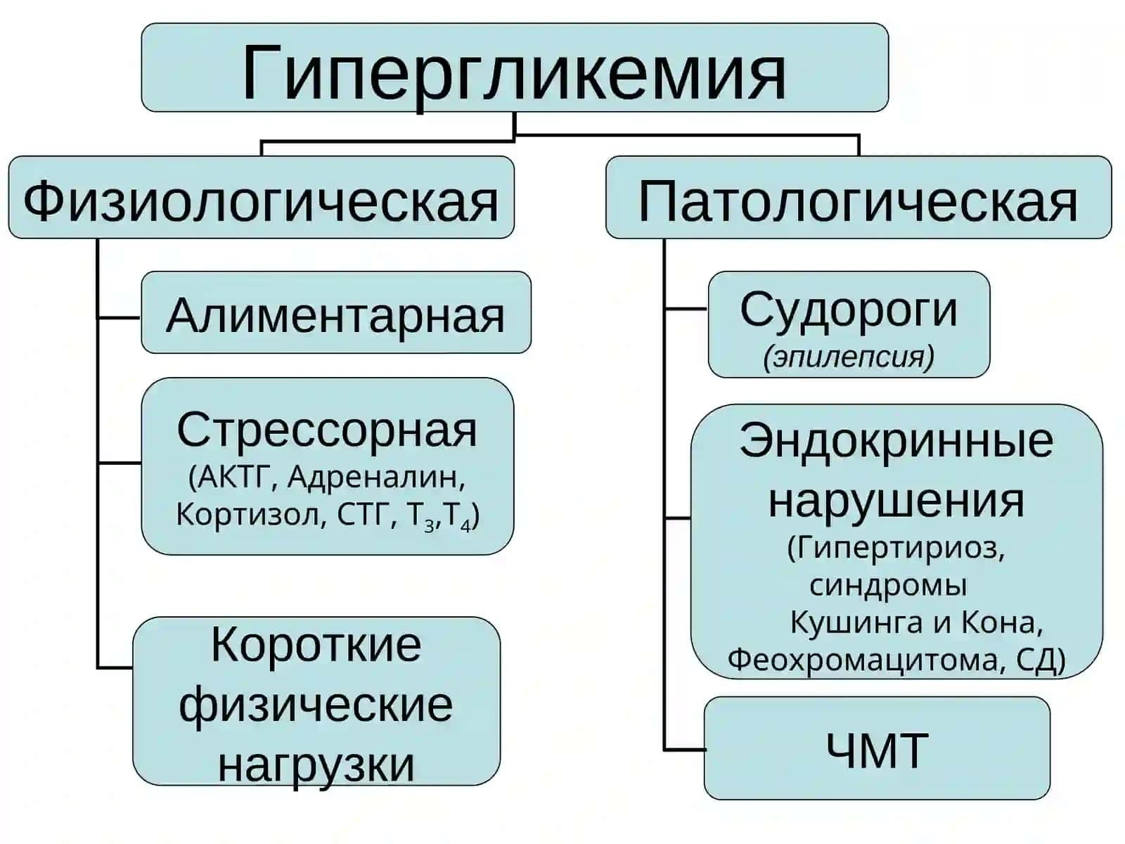 Клиническая биохимия углеводного обмена 4