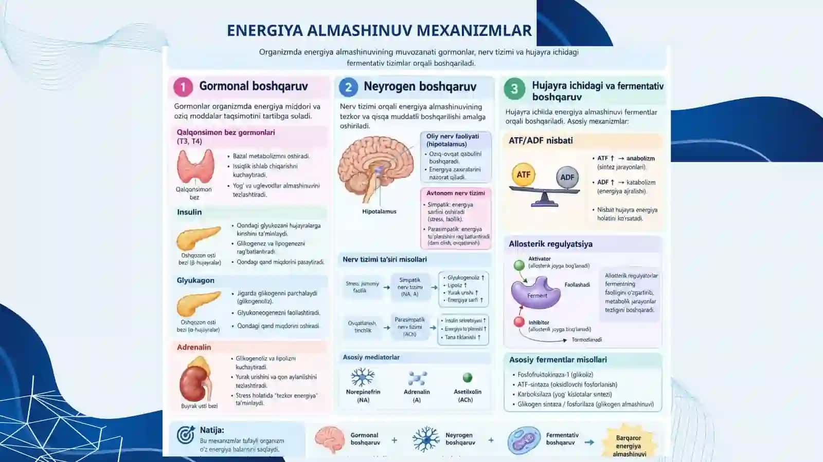 ENERGIYA ALMASHINUVI BOSHQARILISHI 4