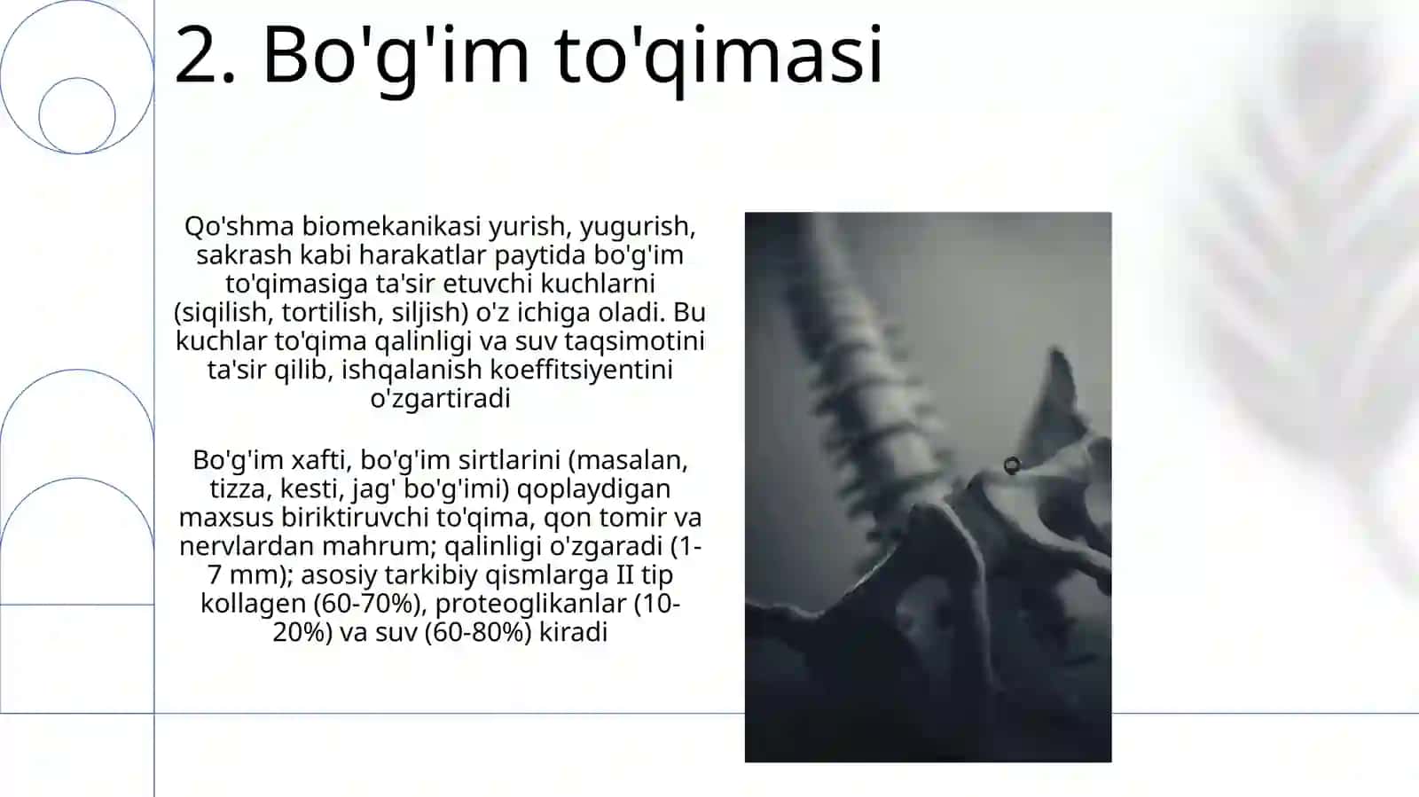 Bo'g'imlarning biomexanikasi. Anatomiya 4