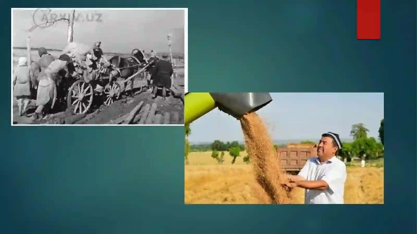 Qishloq xujaligi va sanoat sohasidagi o'zgarishlar 4