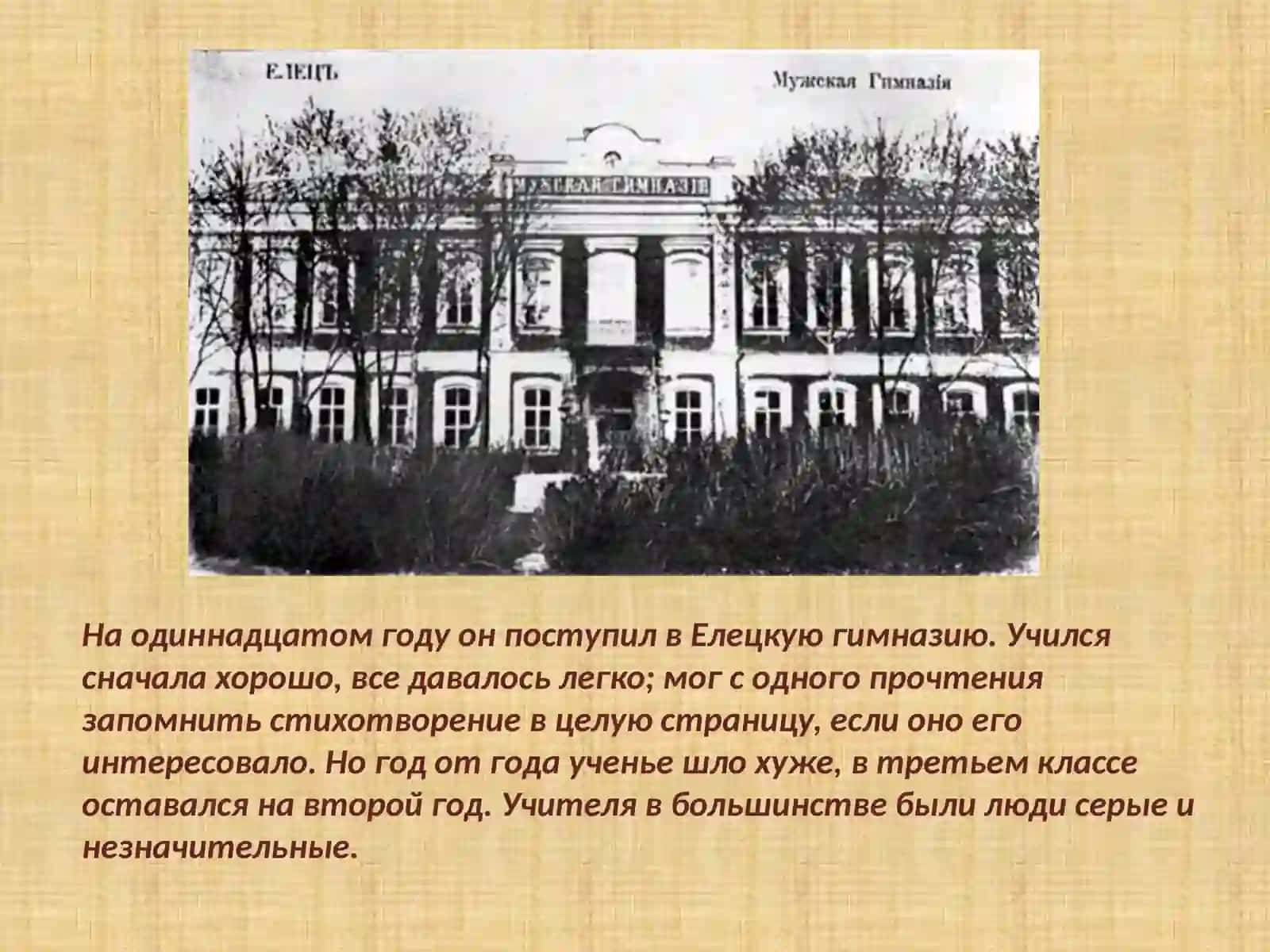 И.А.БунинТеньптицы 4