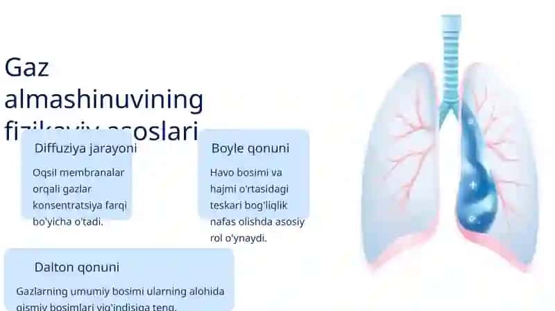 Nafas olish sistemasining fizikasi 4