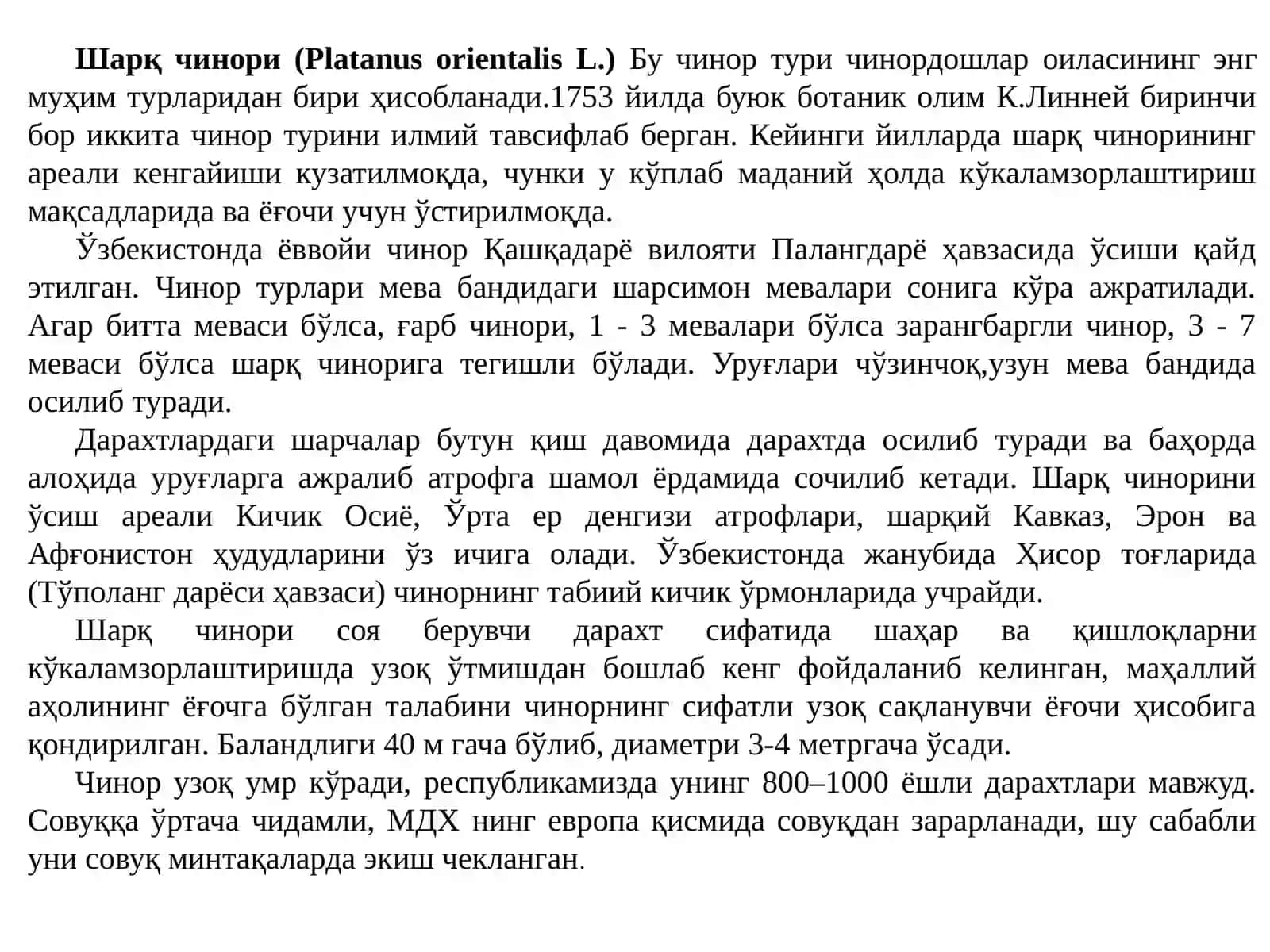 ЧИНОРДОШЛАР- PLATANACEAE (платанация) ОИЛАСИ (платановые) 4