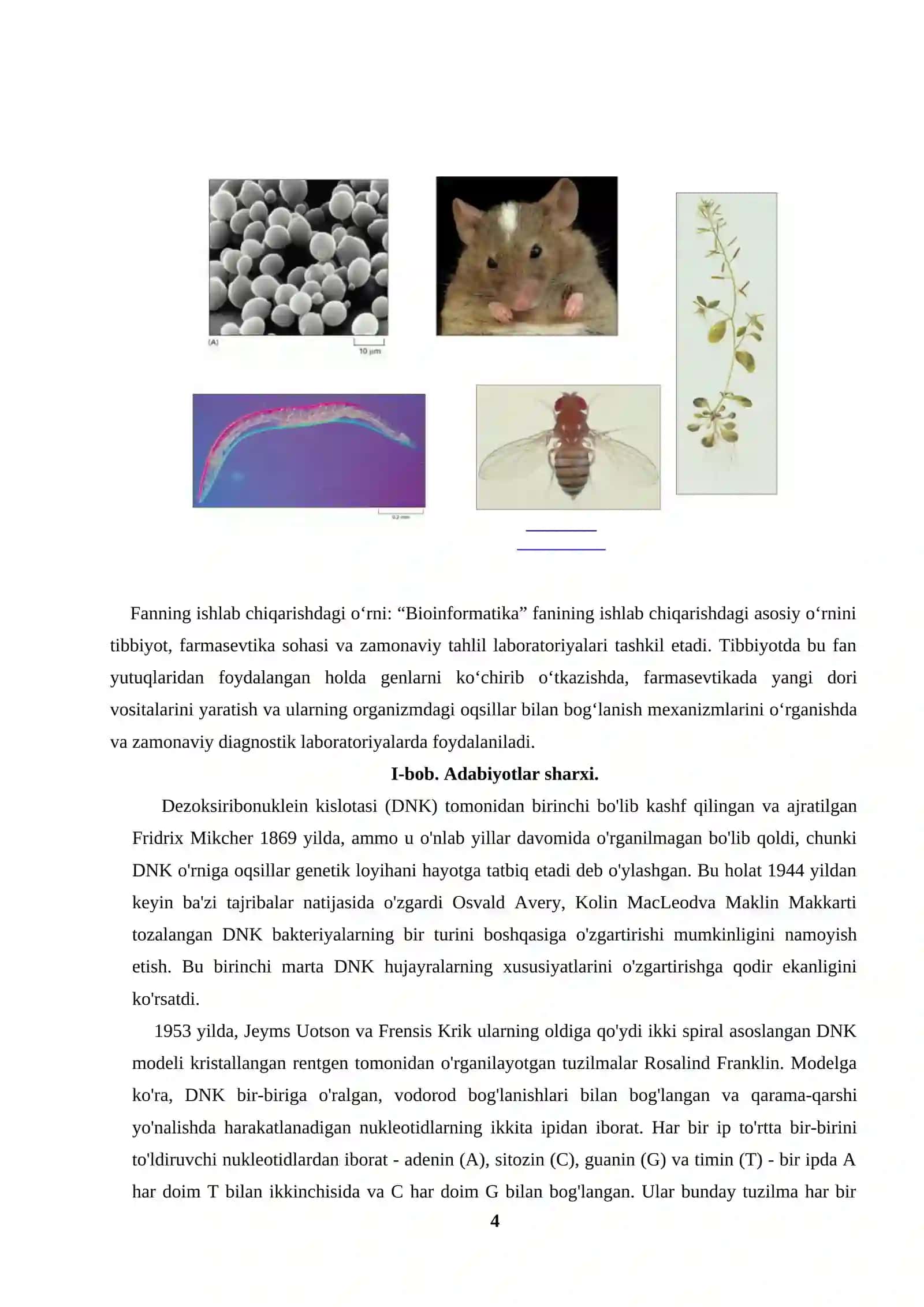 BIOLOGIK KETMA-KETLIKLARNI TAQQOSLASH ASOSLARI 4