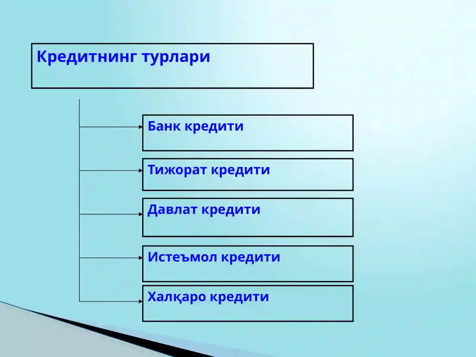 Алоҳида кредит турлари ва кредитлаш шакллари 4