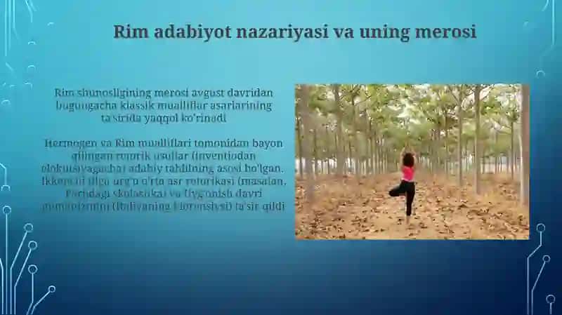 G'arb mumtoz adabiyotida adabiy tanqidiy fikrlar taraqqiyoti 4