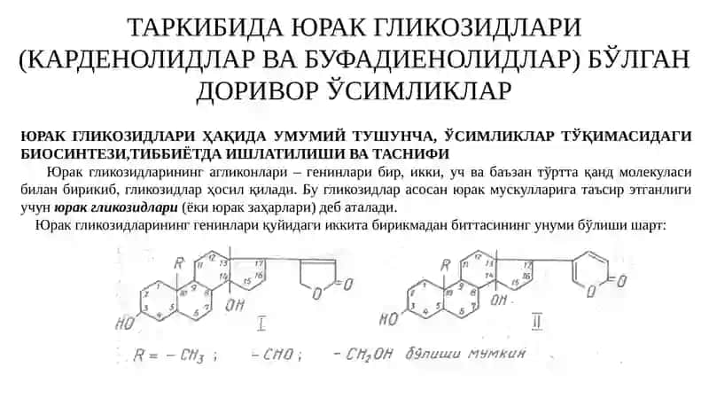 DORIVOR O‘SIMLIKLARNI YURAK GLIKOZIDLARI BO‘YICHA ANIQLASH, ANALIZ QILISH VA ULARNING MAHSULOTLARI. 4