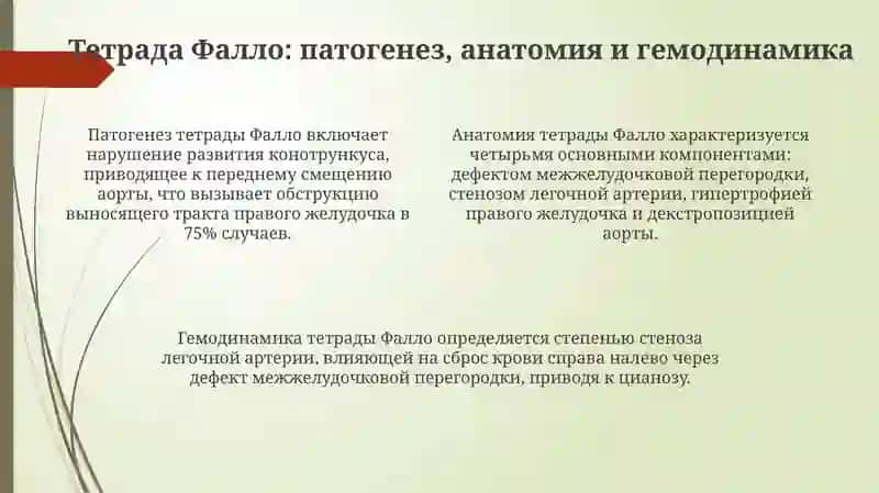 Врожденные пороки сердца (Тетрада Фалло, транспозиция ствола ядер) 4
