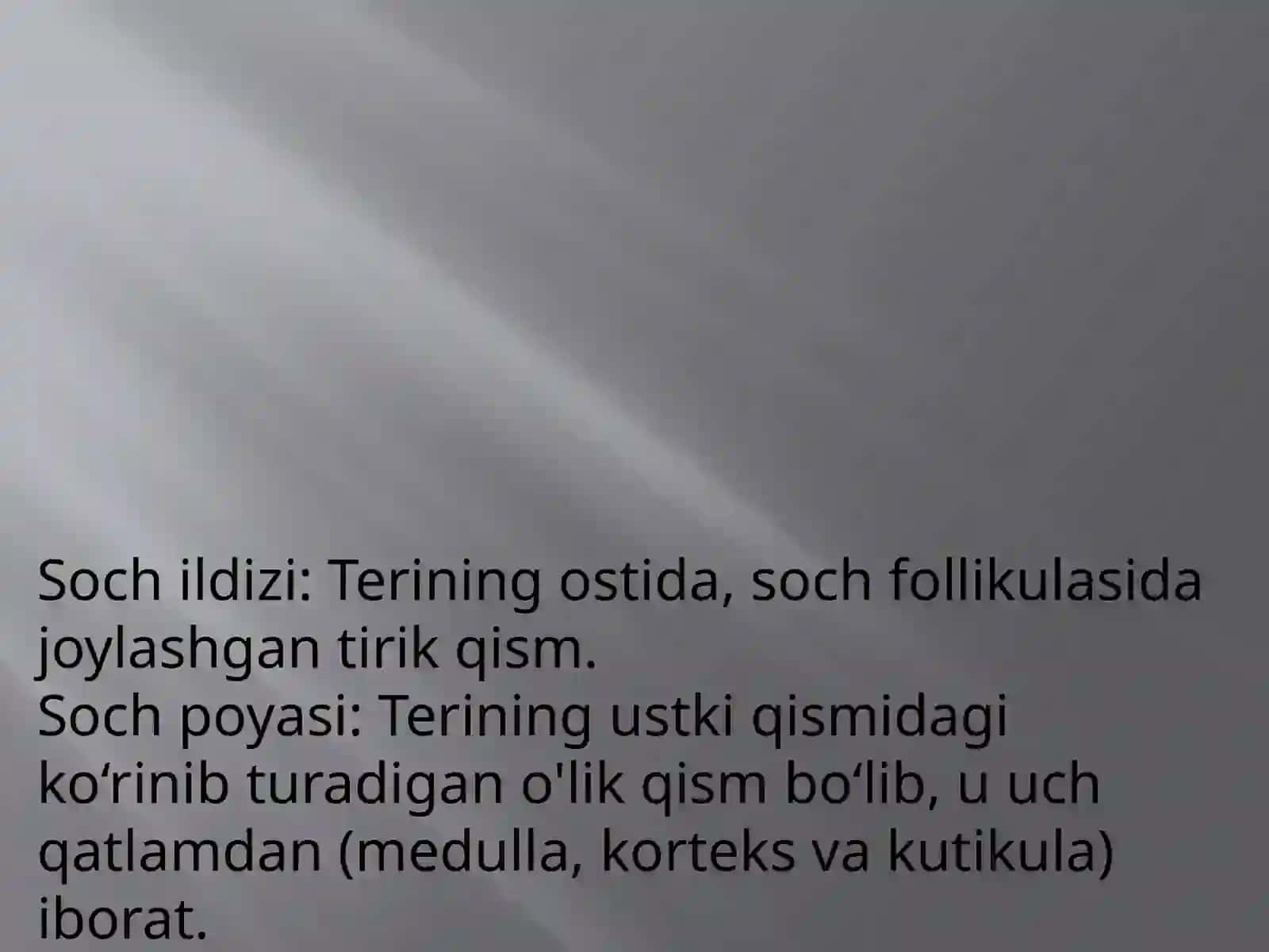 Teri va uning hosilalari 4