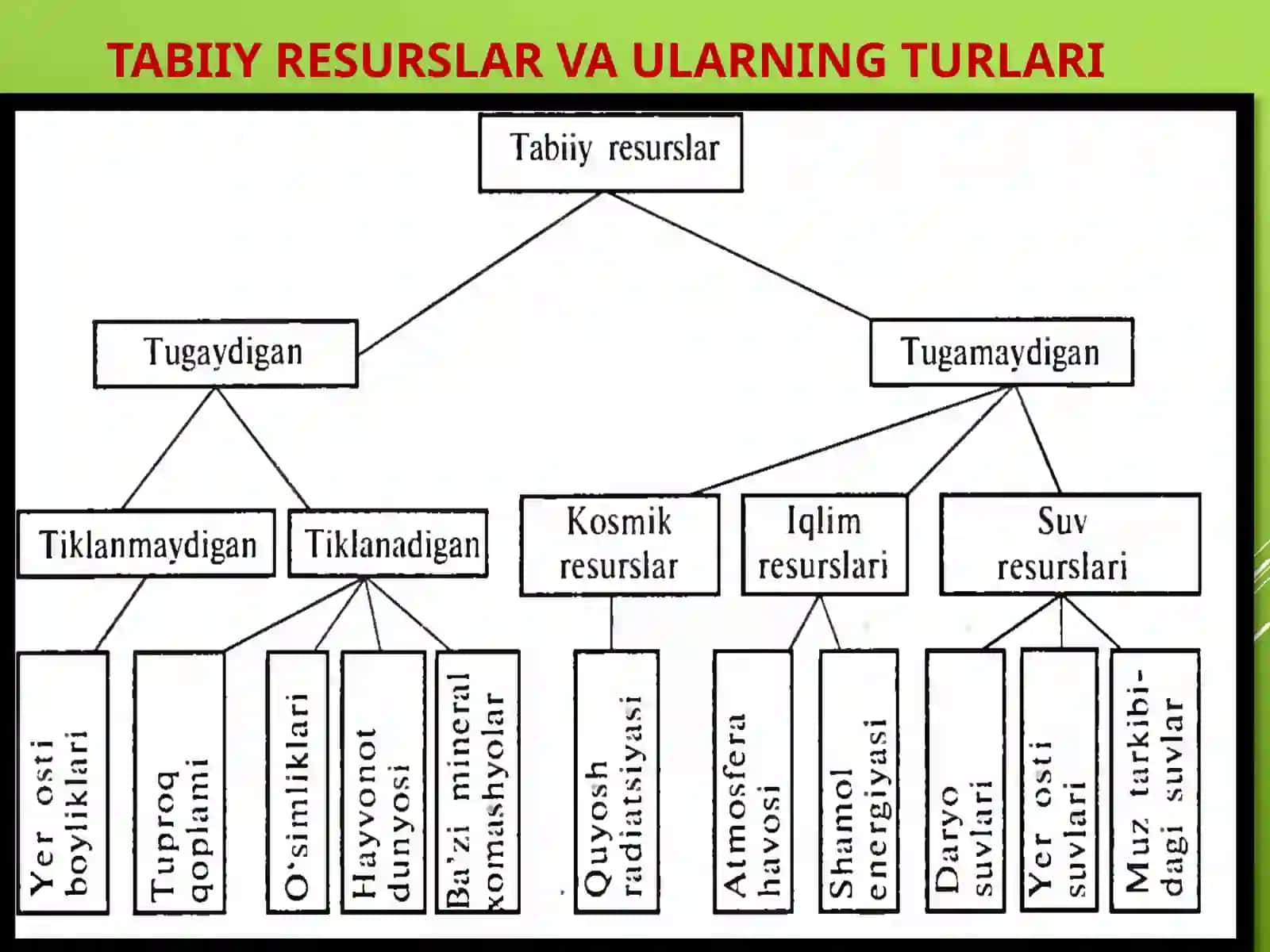 Oʻzbekiston tabiat yodgorliklari 4