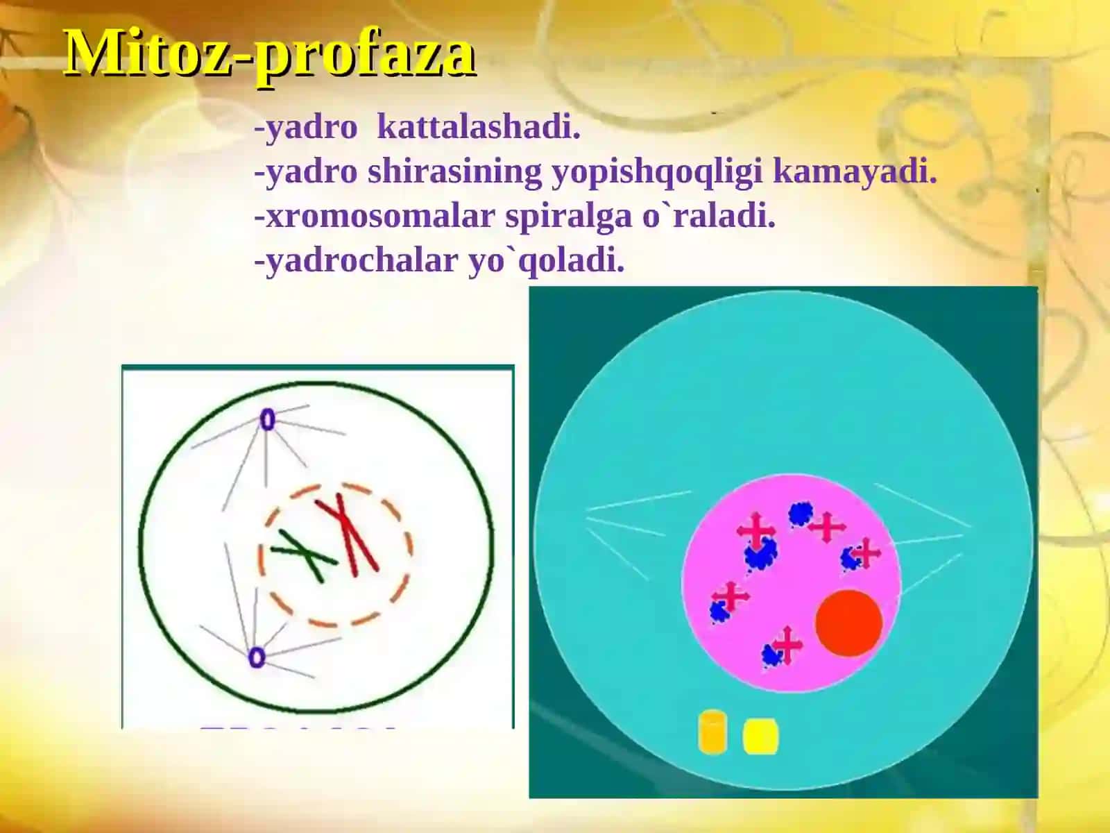 Ko’payish  xillari 4
