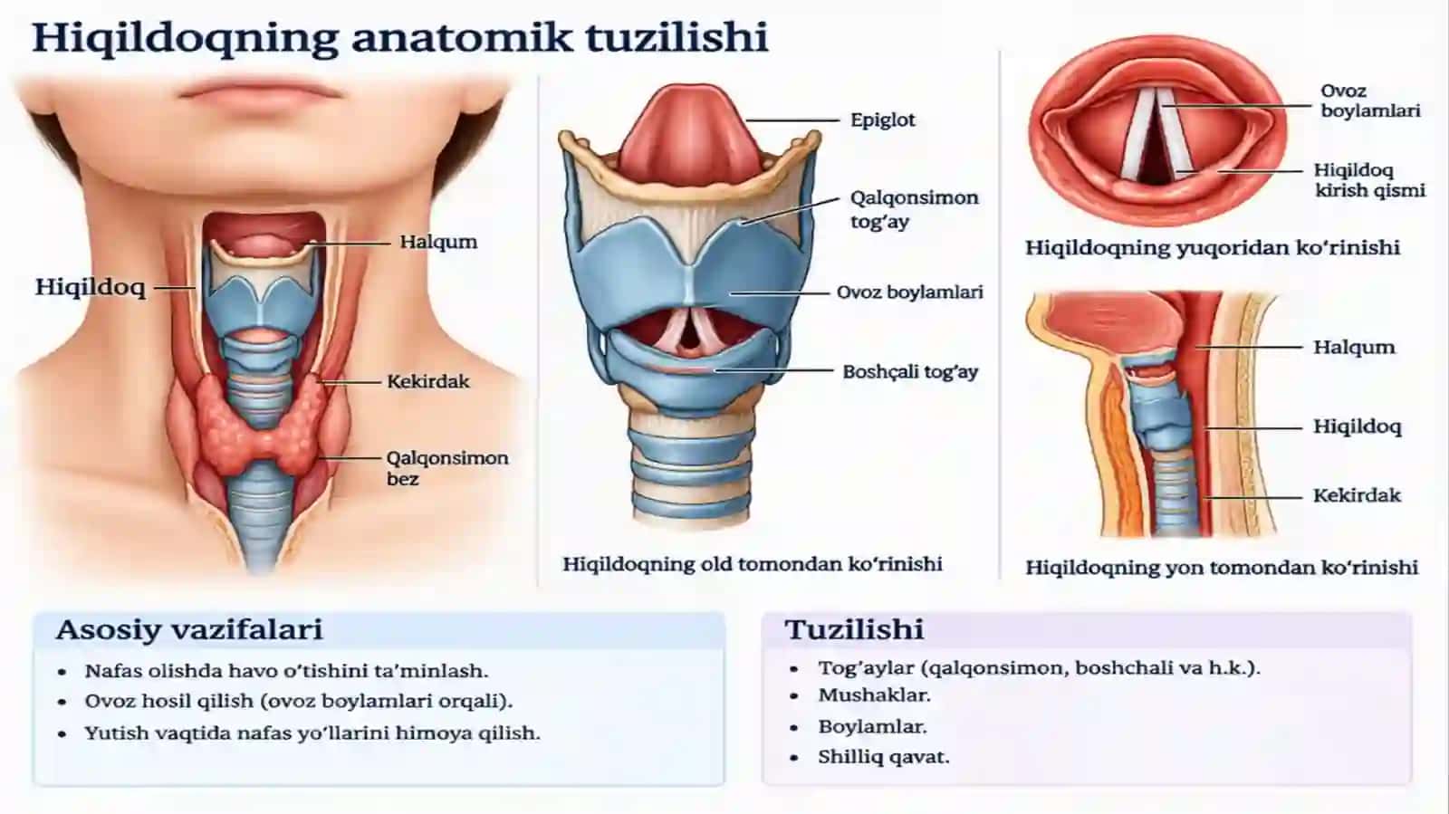 Hiqildoqning xavfsiz va xavfli o’smalari 4