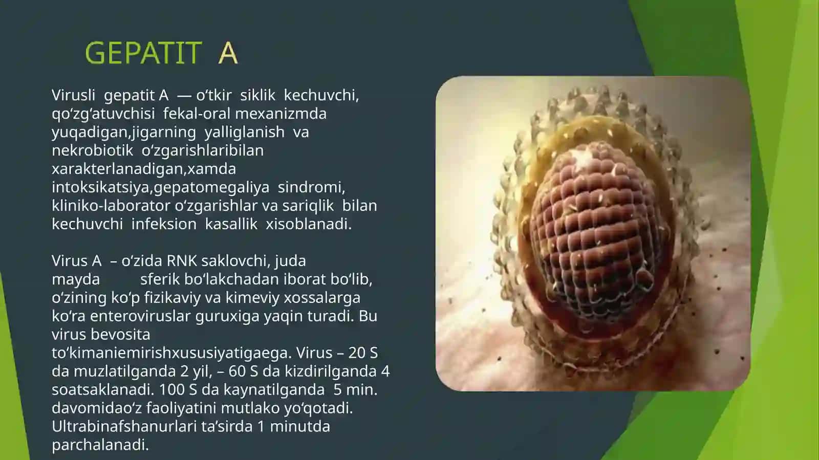 Virusli gepatit 4