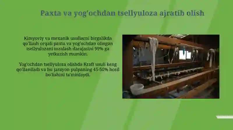 Tsellyulozaning Qo'llanilishi va Kelajagi 4