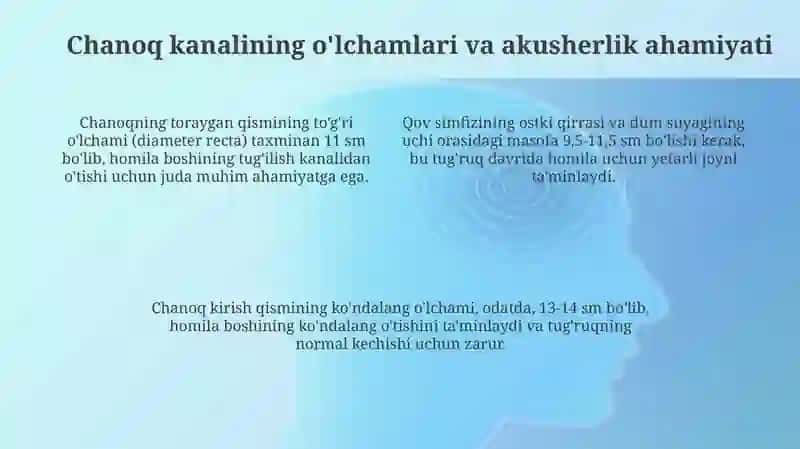Chovkanalianatomiyasi 4