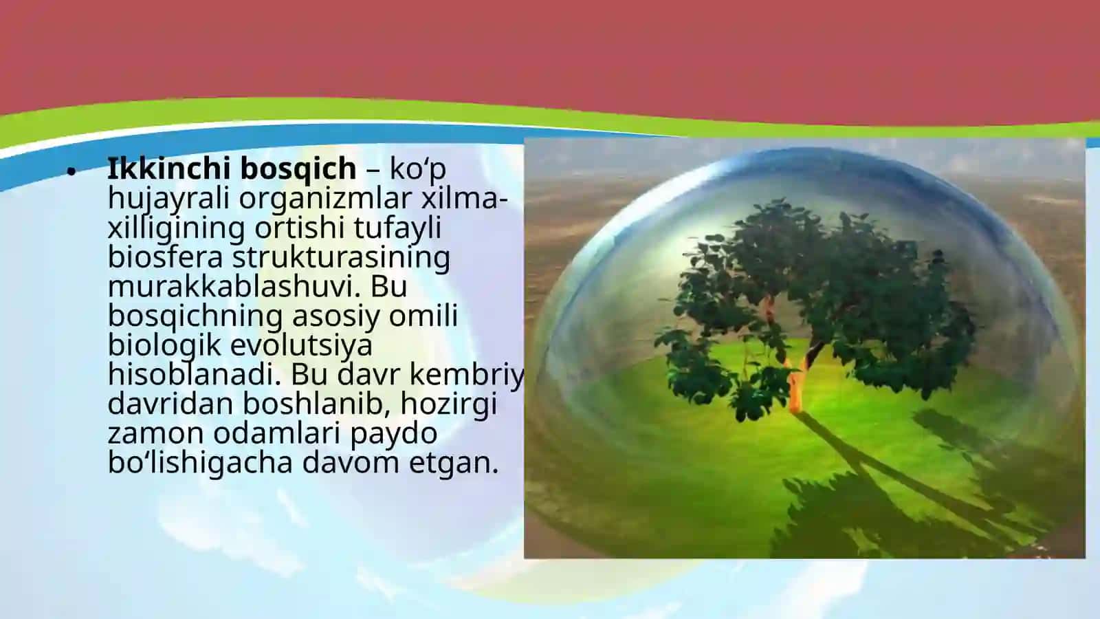 Biosferaevolutsiyasi.Biogenez 4