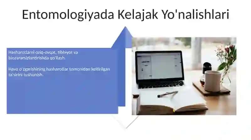 Entopsixologiya va Entomologiya 4