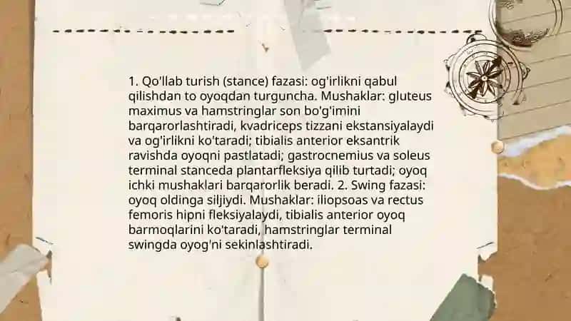 Oyoq mushaklari va ularning yurishda ishtiroki 4