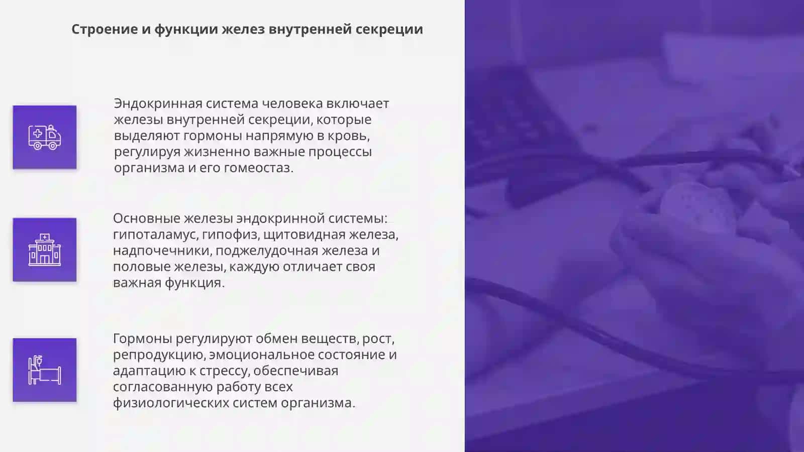 Ендокринная система 4