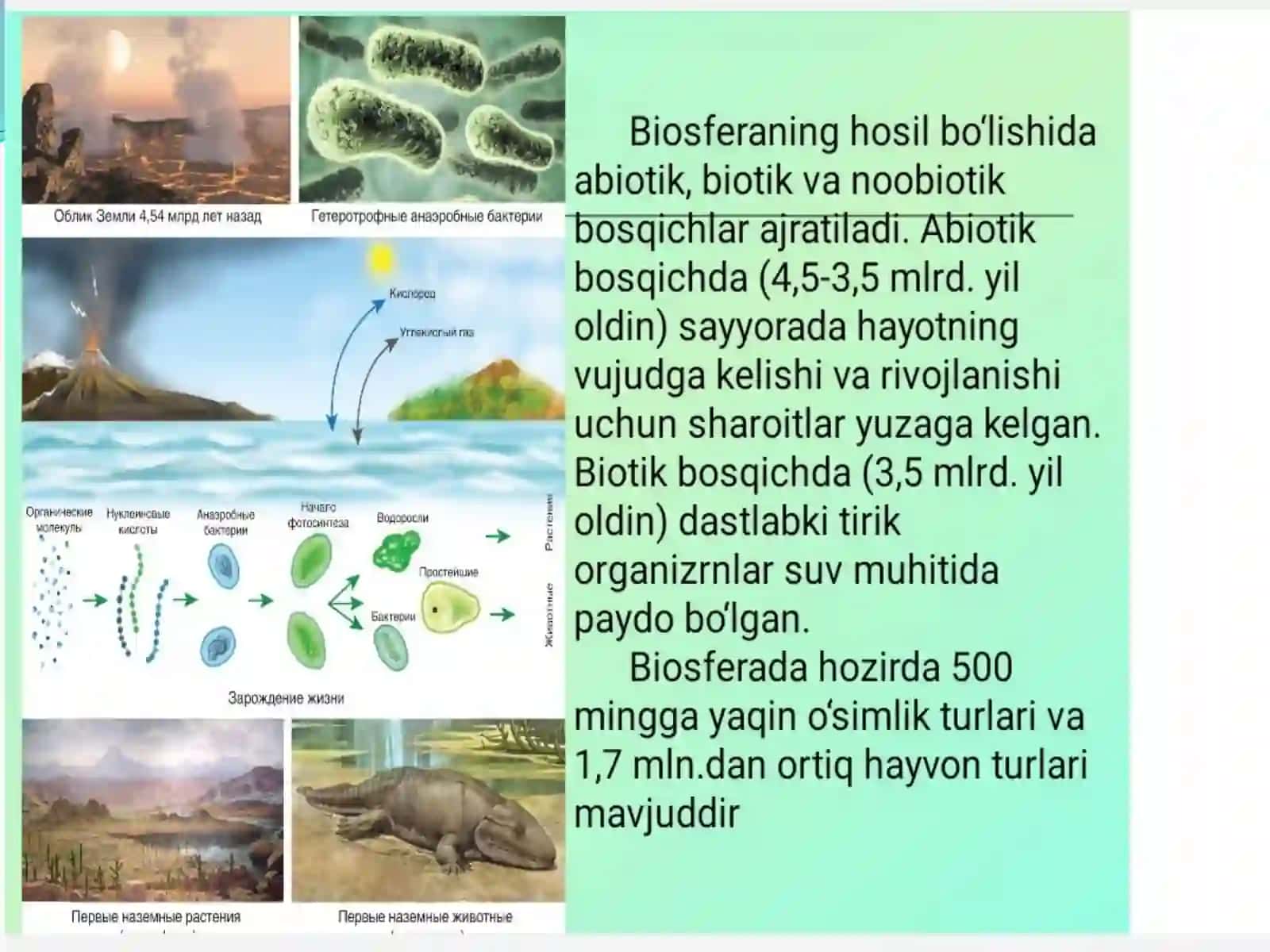 Dalerning Ekologiya fanidan “Biosfera. Biosferaning asosiy funksiyalari va tarkibi” mavzusida 4