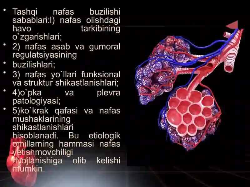 Nafas olish funksiyasini o'rganishning patofiziologik asoslari 4