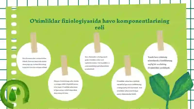 Atmosferaning havo komponentlarining o'simliklar fiziologik jarayonlarga ta'siri 4
