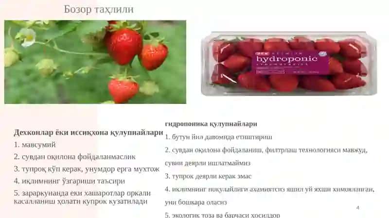 GREENLIFE 4