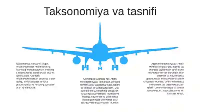 Atipik Mikrobakteriyalar Va Ularning Amalyotdagi Ahamiyati 4