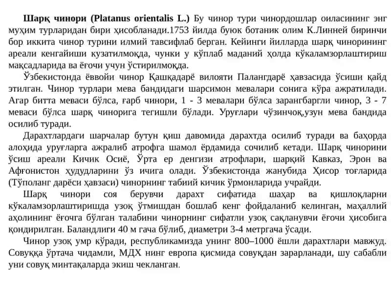 Чинордошлар- PLATANACEAE (платанация) ОИЛАСИ (платановые) 4