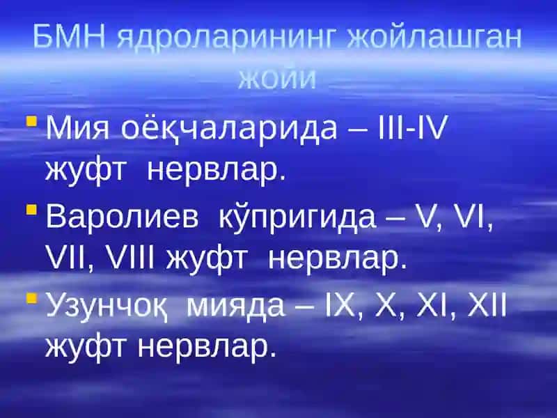 Бош мия нервлари 4