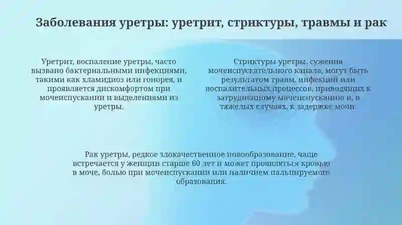 Мочеиспускательный канал 4