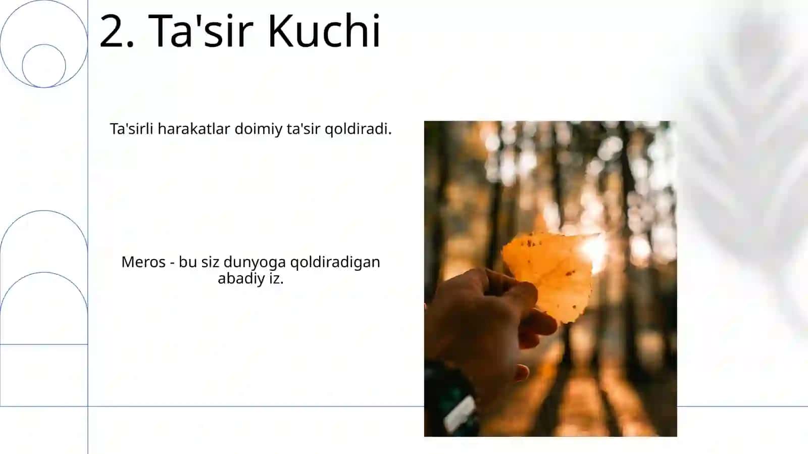 Meros qurish printsiplari 4