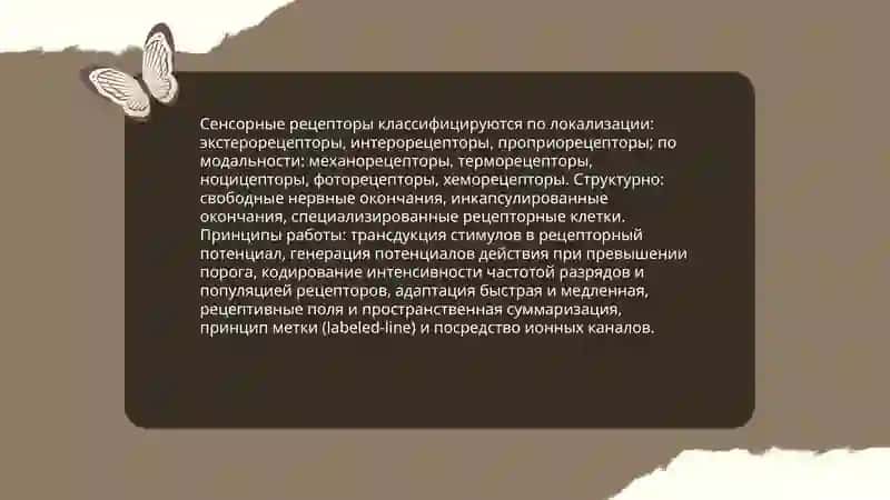 Общее представление об ощущениях и их нейрофизиологические основы 4