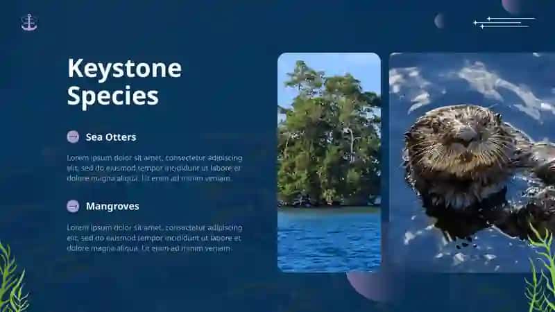 Marine Ecosystems 4