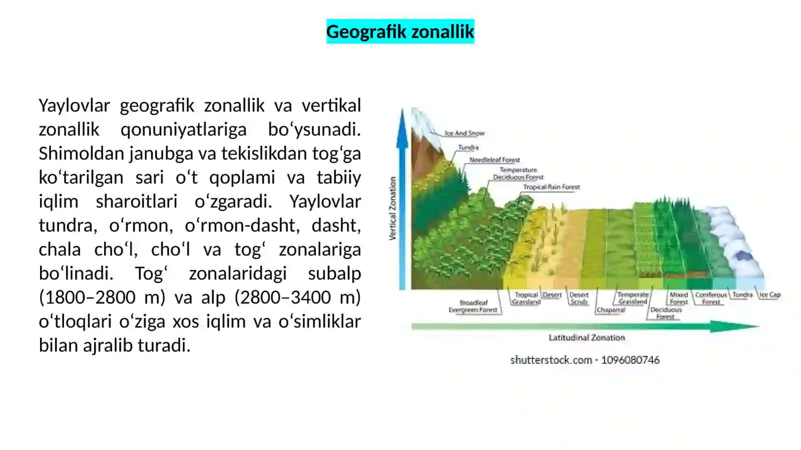 Yaylov O‘simliklari va Hayvonlari Hamda Ularning Geografik Tarqalishi Tahlili 4