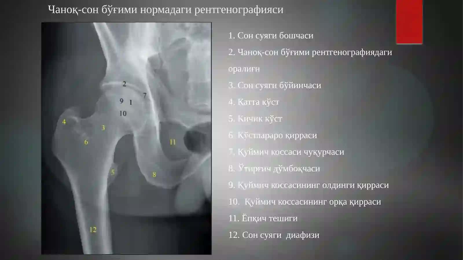 Оёқ суяклари анатомияси 4