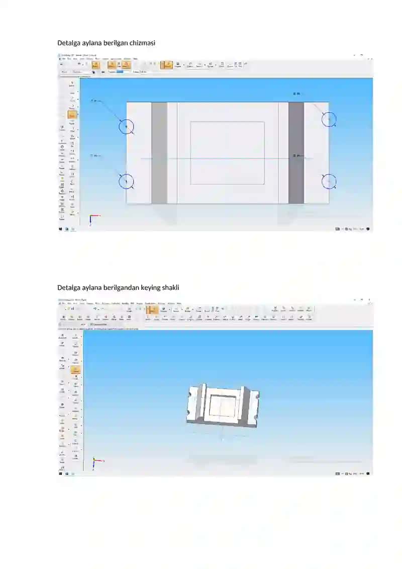 Detalni dastlabki chizmasi 4