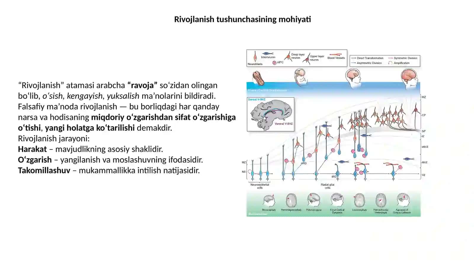 Falsafatarixidarivojlanishhaqidagiqarashlarevolyutsiyasi 4