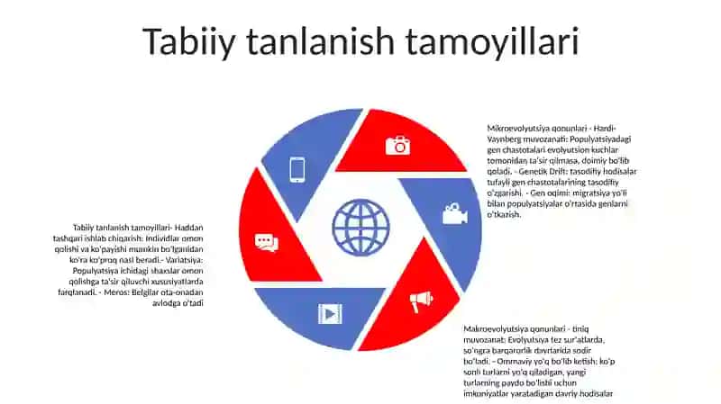 Mikro Va Makroevolyutsiya Qonunlari 4
