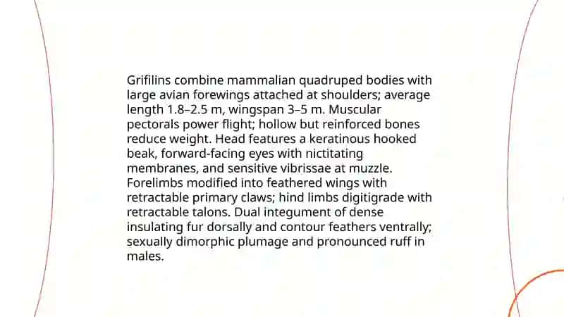Grifilins 4