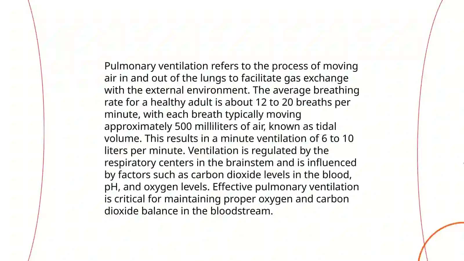 Anatomy of the Lungs 4