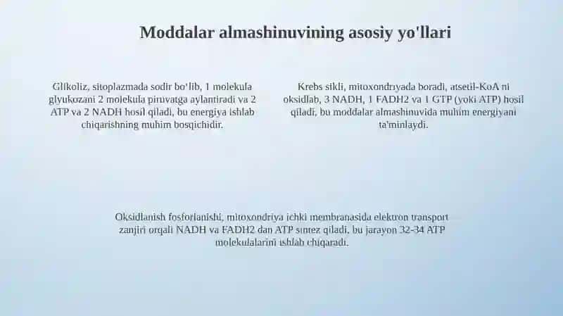 Moddalar almashinuvi 4