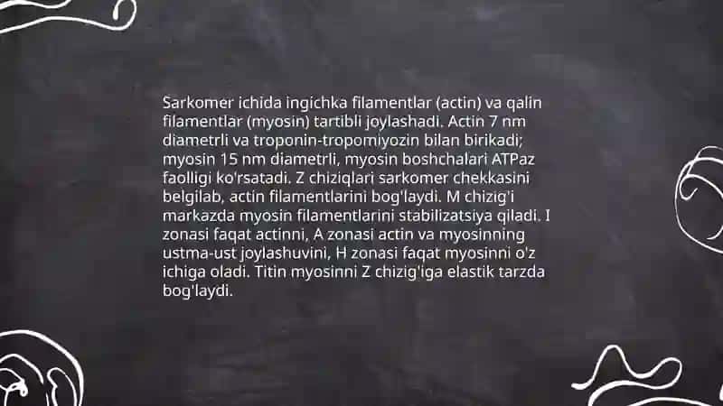 Muskul fiziologiyasi 4