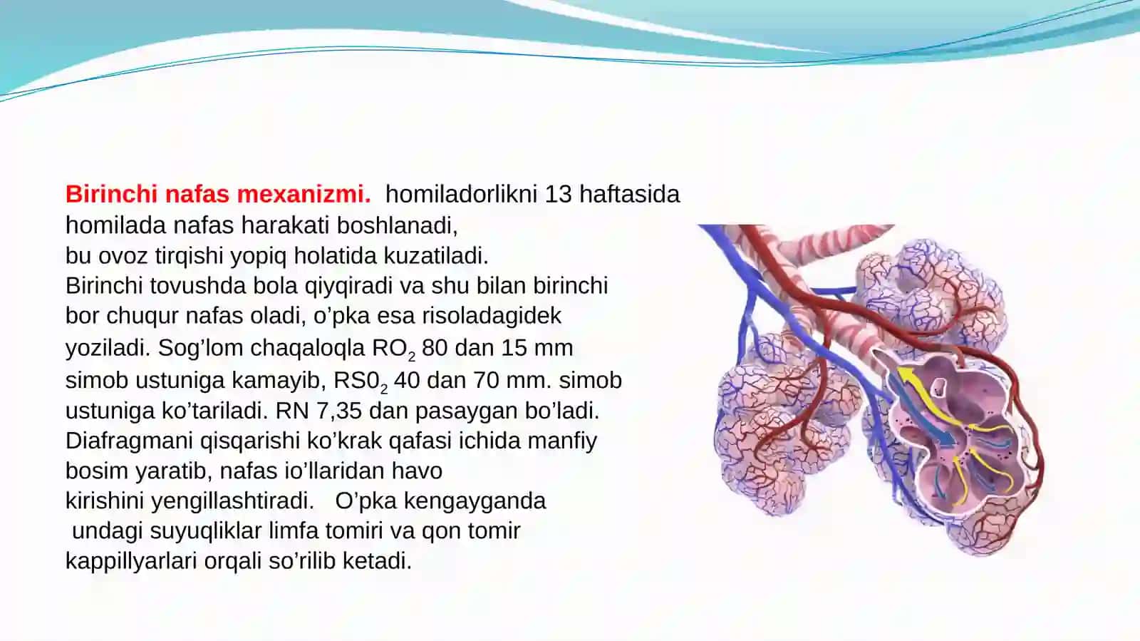 BOLALAR NAFAS TIZIMINING ANATOMO-FIZIOLOGIK XUSUSIYATLARI.YUQORI NAFAS YO’LLARI 4